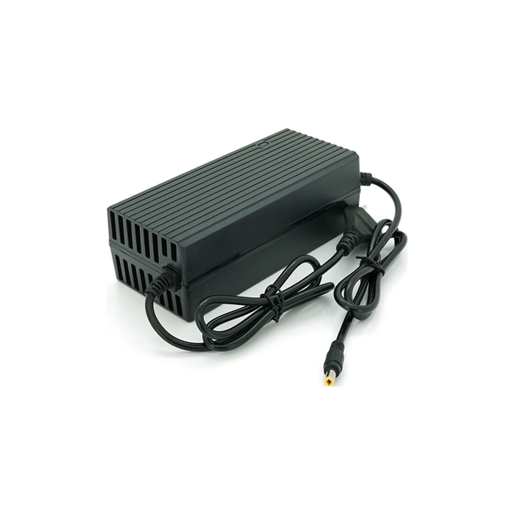 Мережевий зарядний пристрій для АКБ Jinyi JN-2450-29250