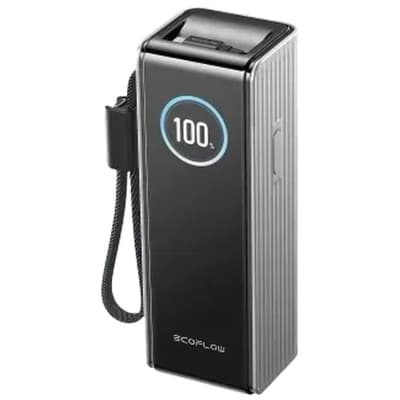 Батарея універсальна EcoFlow RAPID Power Bank 25000mAh with cables silver (EF-RAPID25K100W-S-EU)