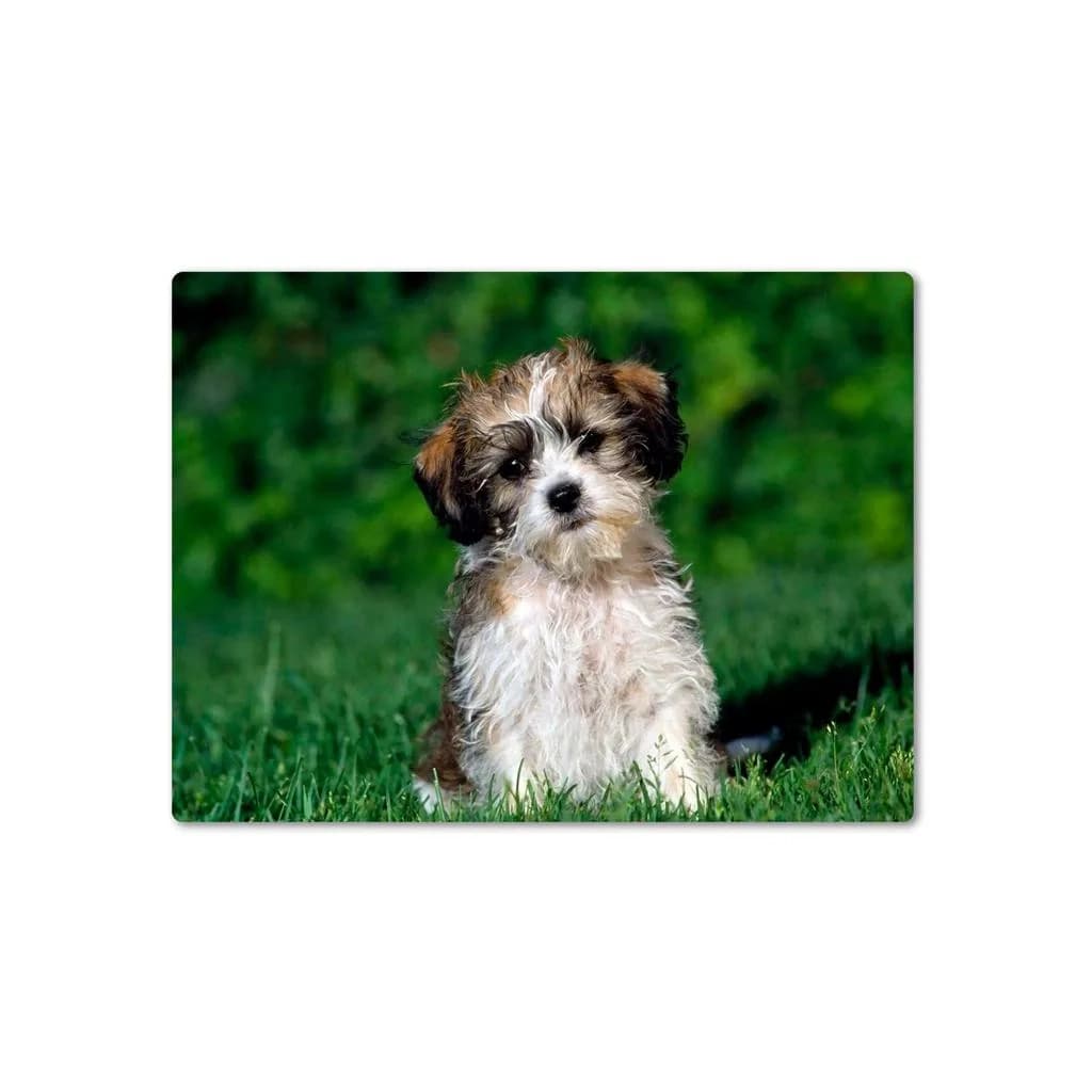 Килимок для мишки Pod Mishkou Кудлатий песик