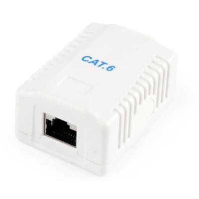 Розетка Cablexpert (NCAC-1F6-01) RJ-45, Cat6, зовнішня, біла