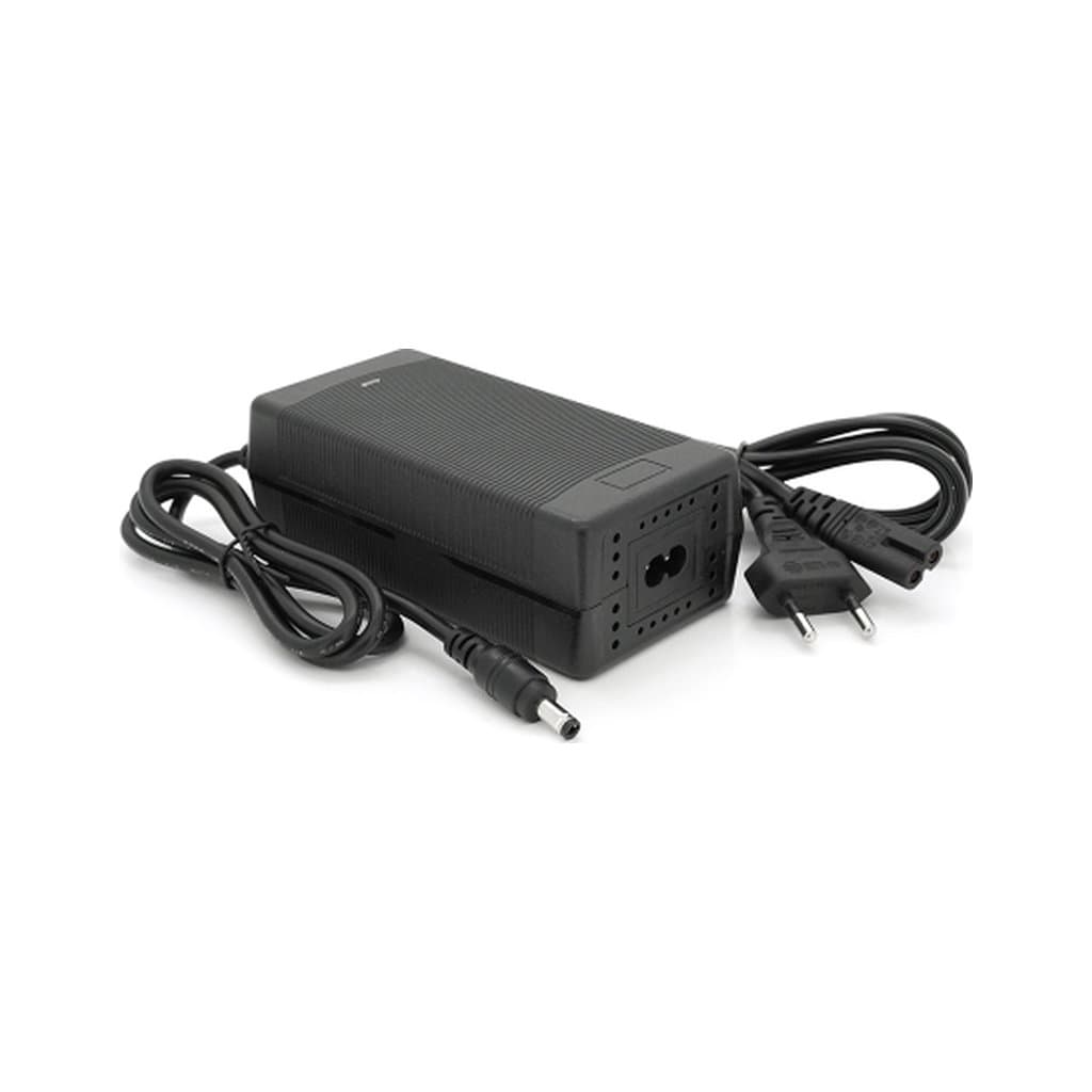 Мережевий зарядний пристрій для АКБ Voltronic LiFePO4 12V (14.6V), 4S,10A (YT-SJT-1468-55)