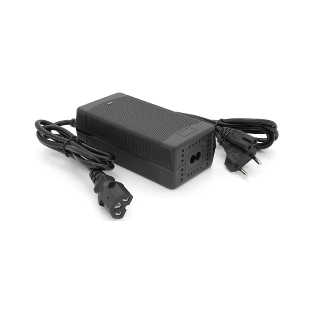 Мережевий зарядний пристрій для АКБ Voltronic LiFePO4 12V (14.6V), 4S,10A (YT-SJT-1468-C13)