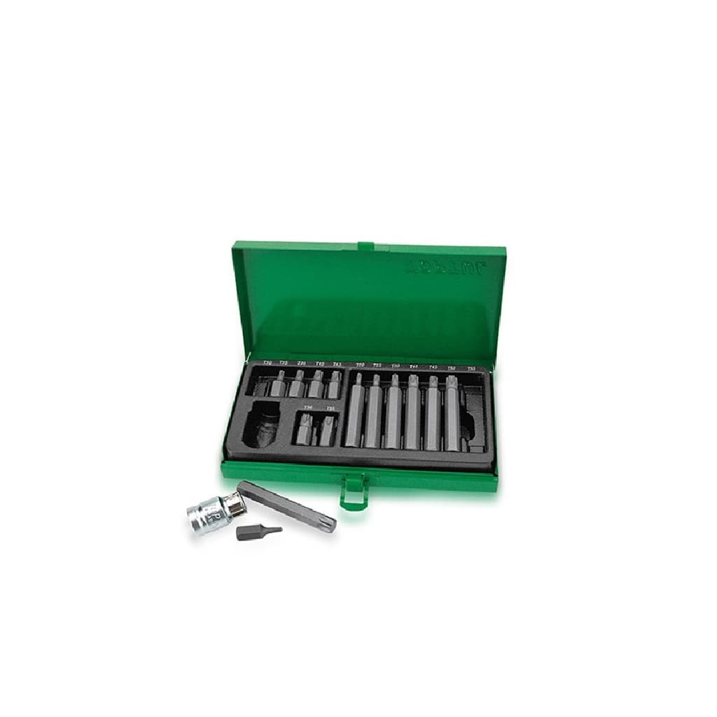 Набір біт Toptul TORX 10мм 15шт. (GAAD1506)