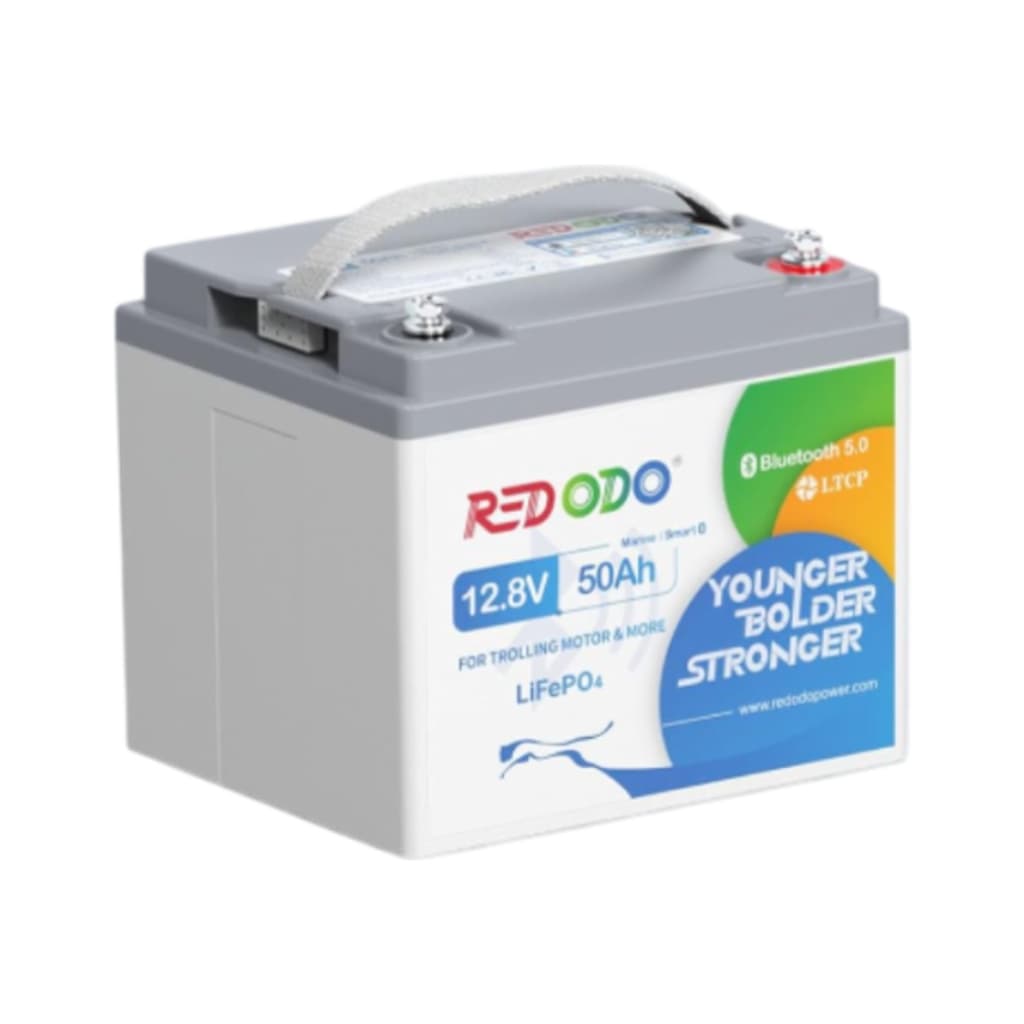 Батарея LiFePo4 Redodo 12.8V-50Ah (R12V50-TM-BT-4-A38)