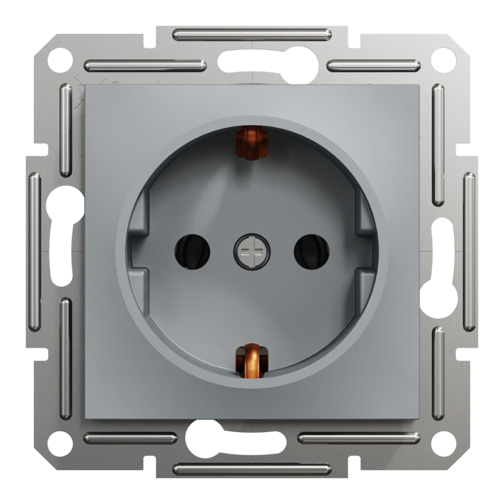 Розетка Schneider Electric ASFORA сталь (EPH2900162)