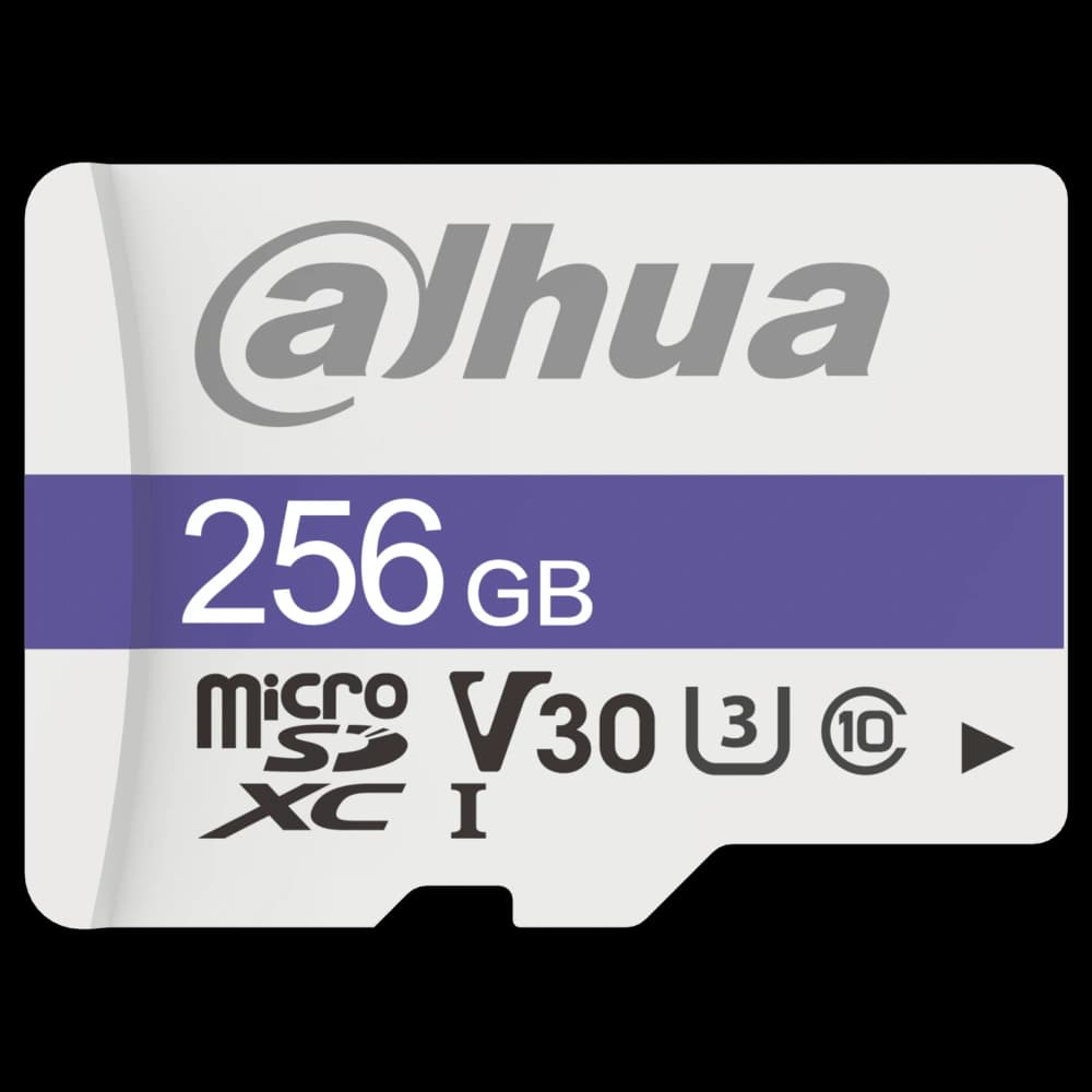 Карта пам'яті microSD Dahua DHI-TF-C100/256GB